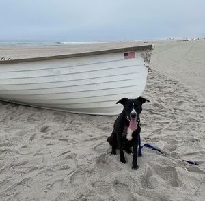 Meet your Posher, Christine